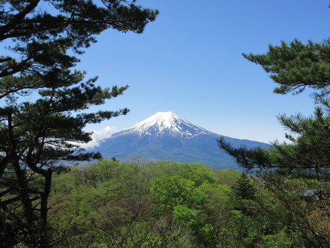 IMG_7991山頂から見る富士山