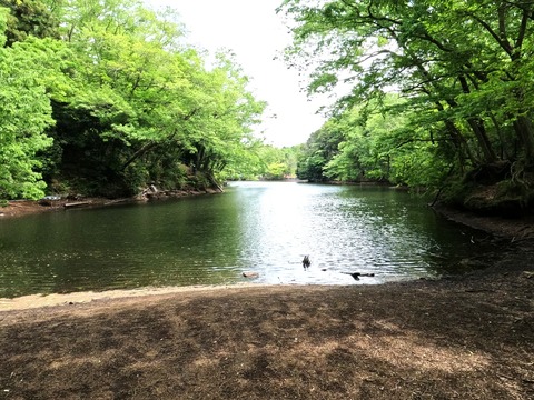 GOPR1426震生湖