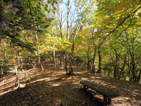 GOPR1025仏果山の紅葉