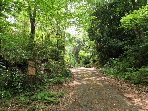 GOPR1413八国見山へ