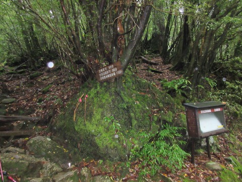 IMG_1825白谷雲水郷への分岐