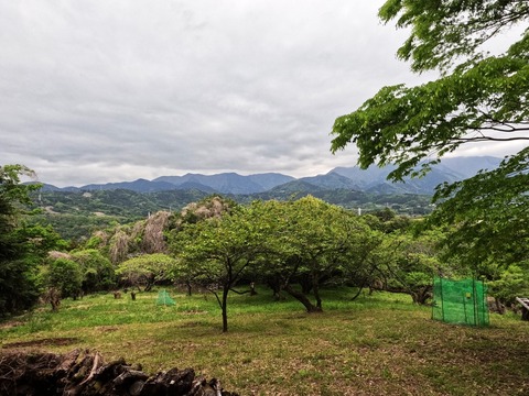GOPR1394頭高山へ向かう道から