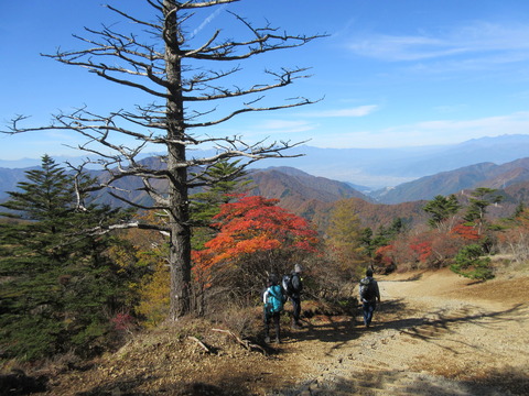 IMG_7600三つ峠山頂付近の紅葉