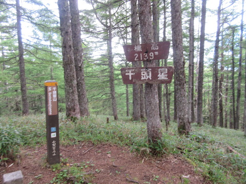IMG_8191先頭星山山頂