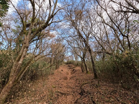 GOPR0575冬の登山道