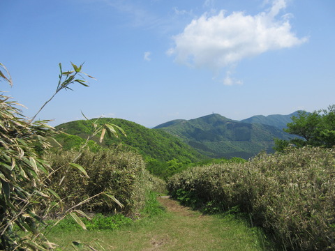 IMG_8034明るい登山道