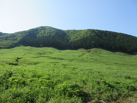 IMG_8021仙石原