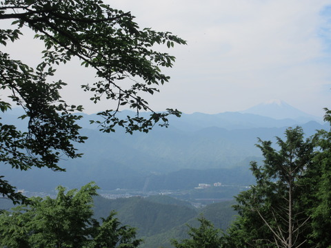 IMG_7393遠くに富士山