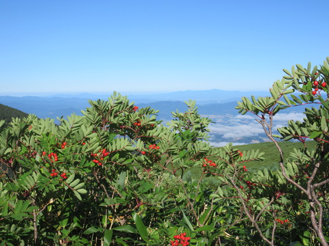 IMG_2232登山道からの眺め