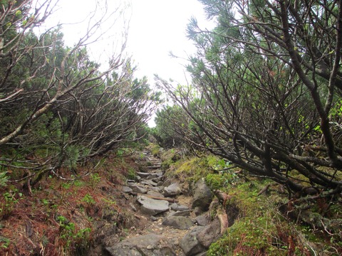 IMG_2837赤岩の頭手前