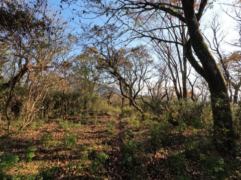 GOPR1048岳ノ台からヤビツ峠へ