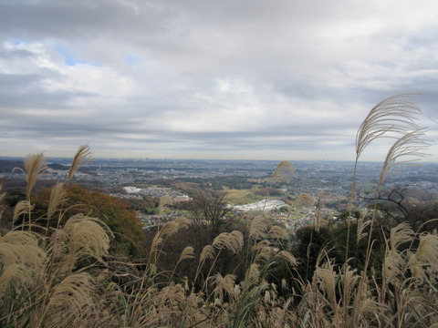 IMG_8568山頂からの関東平野