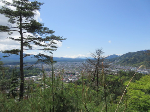 IMG_8007裾野の町