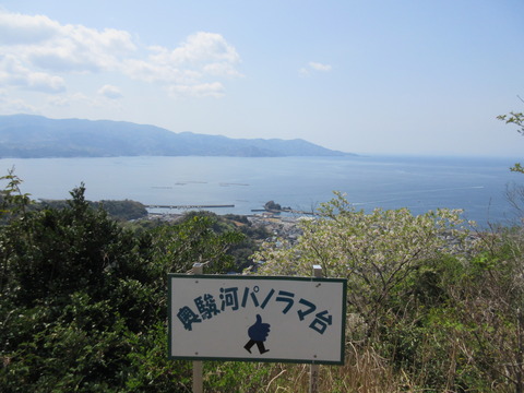 IMG_4320駿河湾を眺める