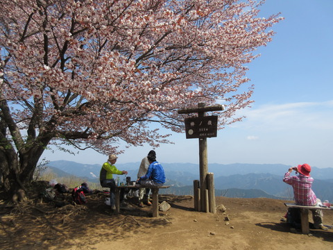 IMG_3096棒ノ嶺山頂