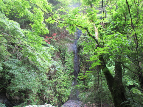 IMG_1871沢沿いの登山道