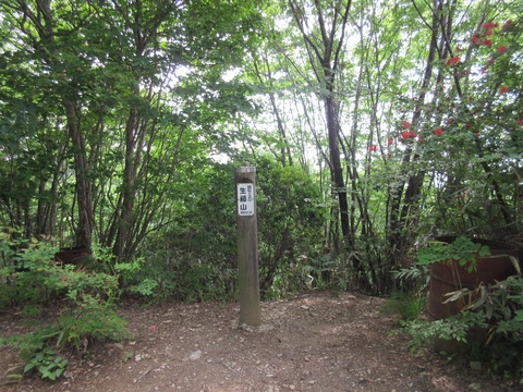 IMG_7404生藤山山頂