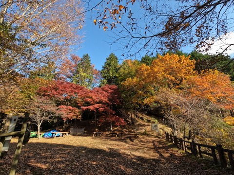 GOPR1057ヤビツ峠から大山へ