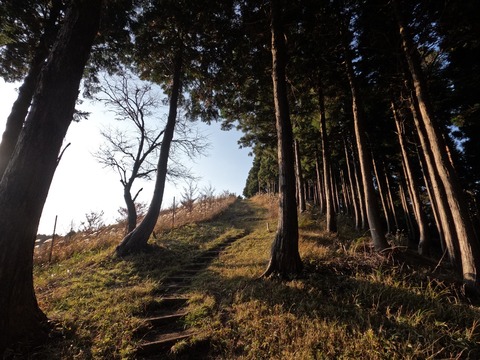GOPR1036菩提峠🅿から岳ノ台、ヤビツ峠