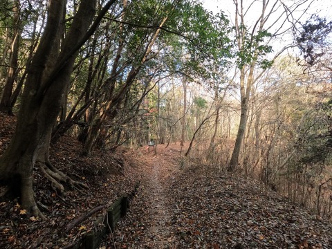 GOPR1136下山口に近づく