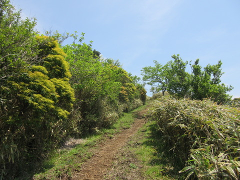 IMG_8047明るい登山道