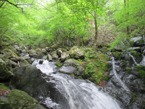 IMG_1875沢沿いの登山道