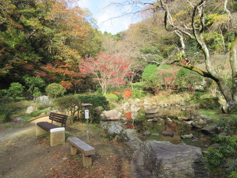 IMG_8584七沢公園の紅葉