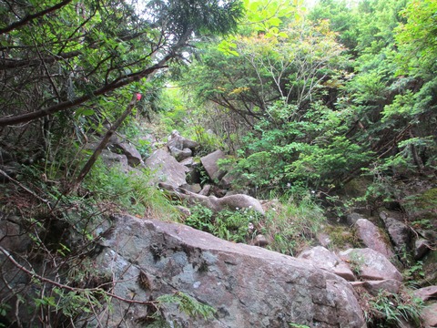 IMG_1741near the summit