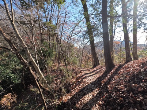 GOPR1129日連山へ向かう