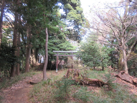 IMG_8573白山神社の鳥居