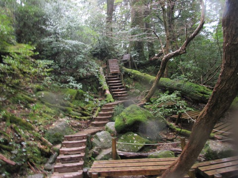 IMG_1810大株歩道