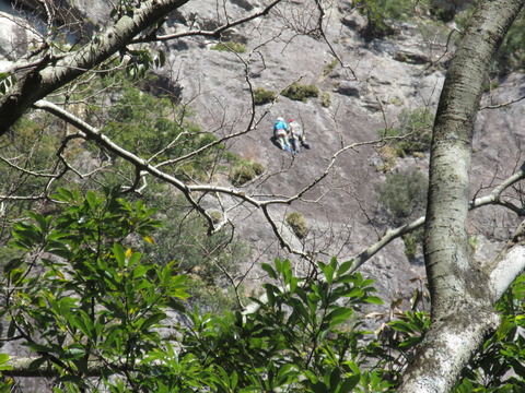 IMG_8766城山の絶壁でロッククライミングをしている人たち