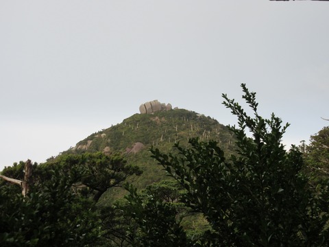 IMG_1744登山道から見る高盤岳