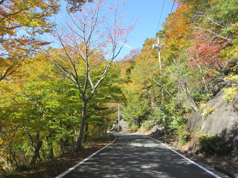 IMG_7613道路脇紅葉