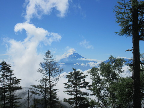 IMG_8179登山道から見る富士山
