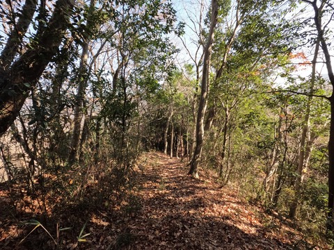 GOPR1126峰山から杉峠へ