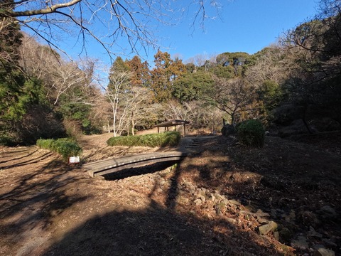 GOPR1197とんぼ池