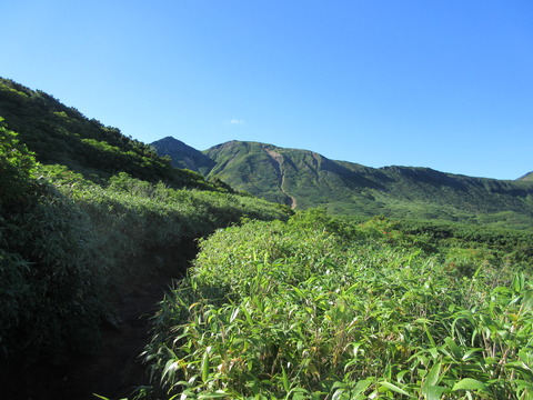 IMG_2231富良野岳