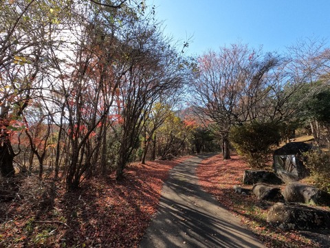 GOPR0589下山口後の林道