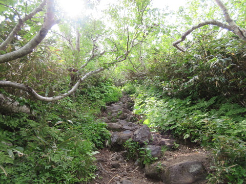 IMG_5968石の多い急坂となる