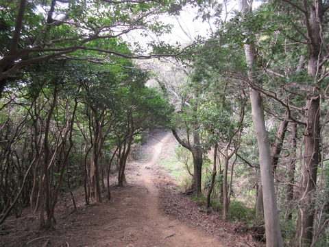 IMG_4340八重坂峠へ下山