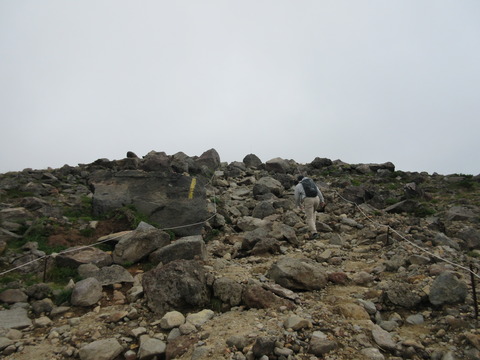 IMG_2201旭岳の斜面