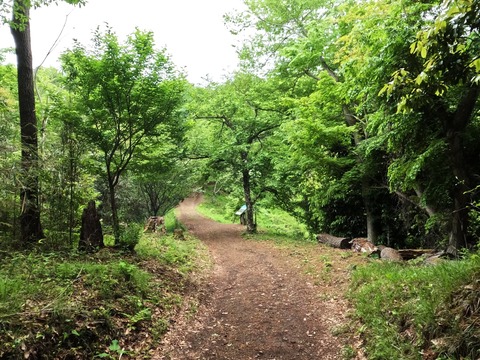 GOPR1398頭高山へ向かう