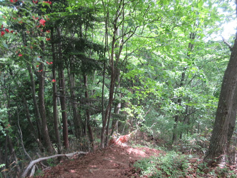 IMG_7402生藤山へ向かう