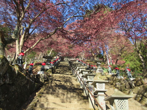 IMG_4062大山寺の階段