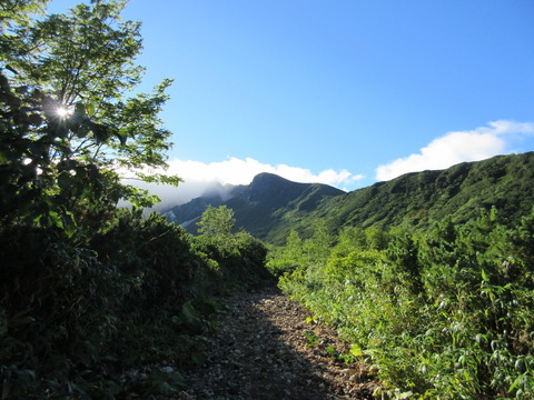 IMG_2222十勝岳を目指す