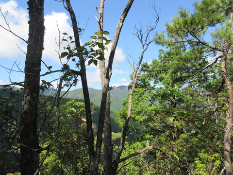 IMG_8353登山道からの眺め