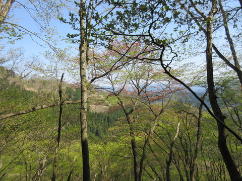 IMG_3084尾根道からの眺め