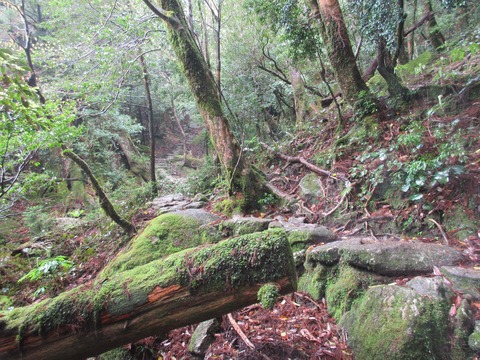 IMG_1827再び上り坂が続く