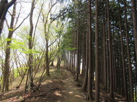 IMG_3100滝ノ平尾根